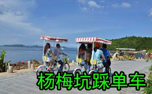 驰速自动化旅游活动