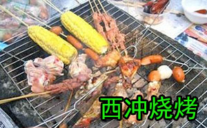 驰速自动化旅游活动